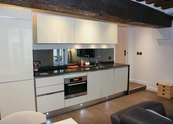 Design Au Coeur Du Marais Parijs