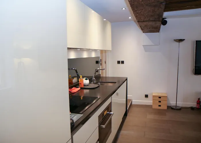 Appartement Design Au Coeur Du Marais